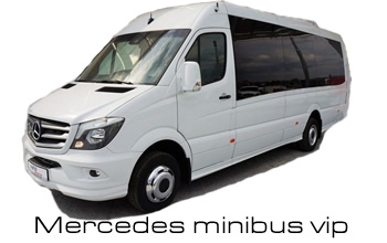 MercedesminiBusVIP-350.jpg